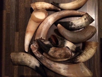 10 stuks runderhoorns